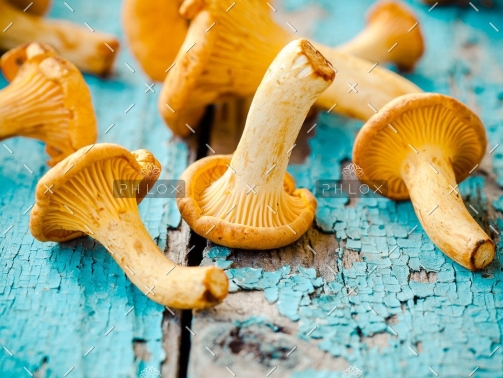 demo-attachment-27-fresh-chanterelle-mushrooms-on-a-wooden-P5YD4CZ